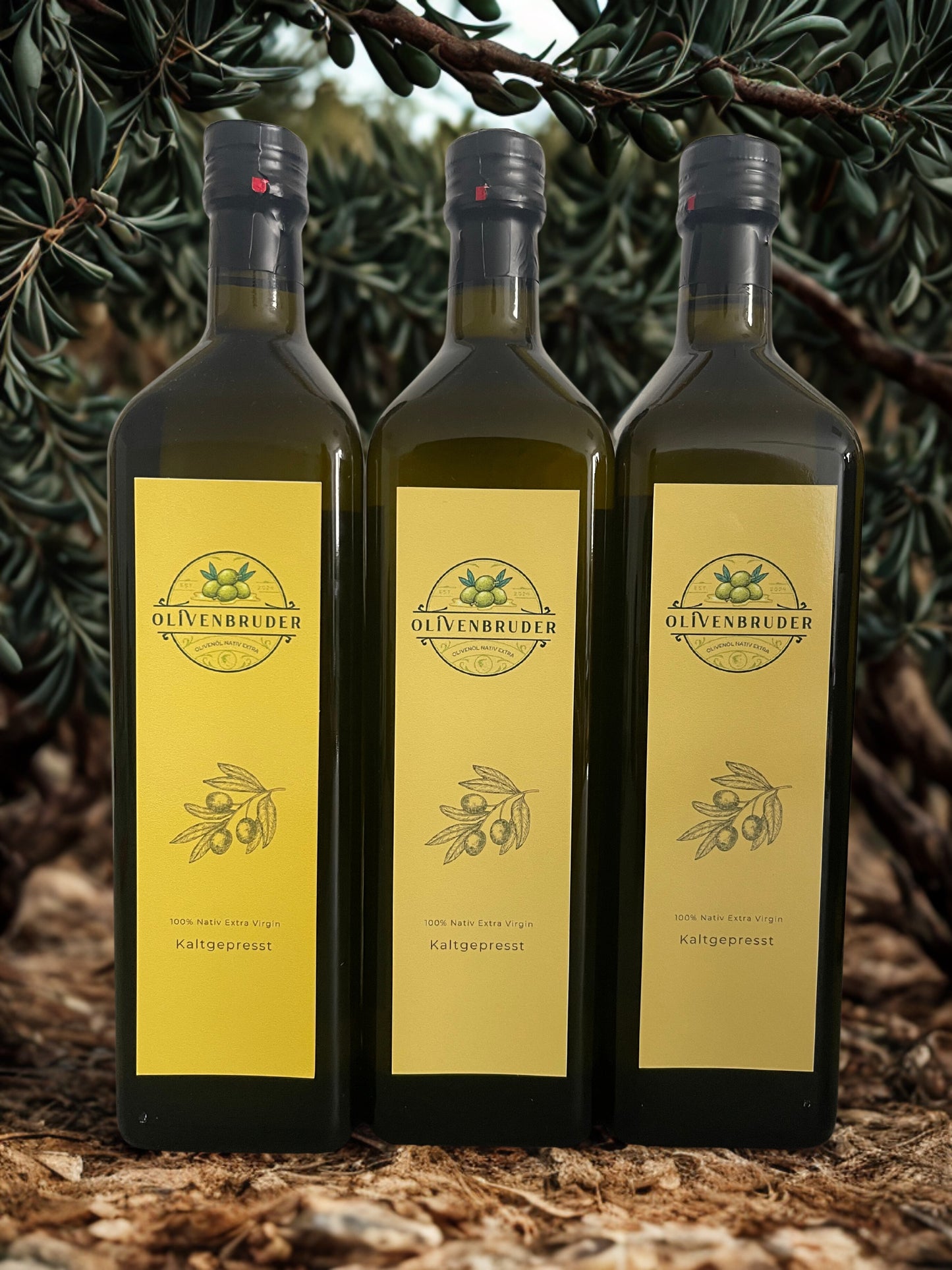 Olivenöl Nativ Extra Tunesien 3 L